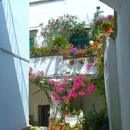 Jonica Bed and breakfast 3*